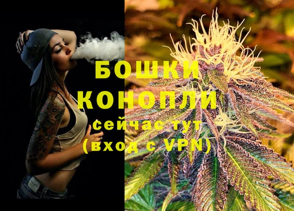 таблы Белокуриха