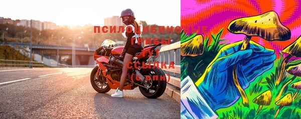 таблы Белокуриха