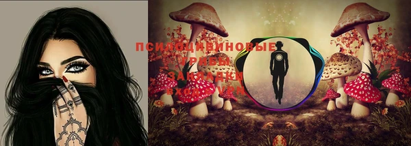таблы Белокуриха