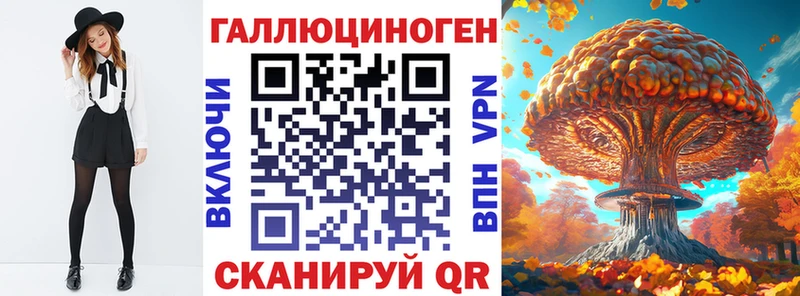 darknet наркотические препараты  продажа наркотиков  Дигора  Галлюциногенные грибы Psilocybe 